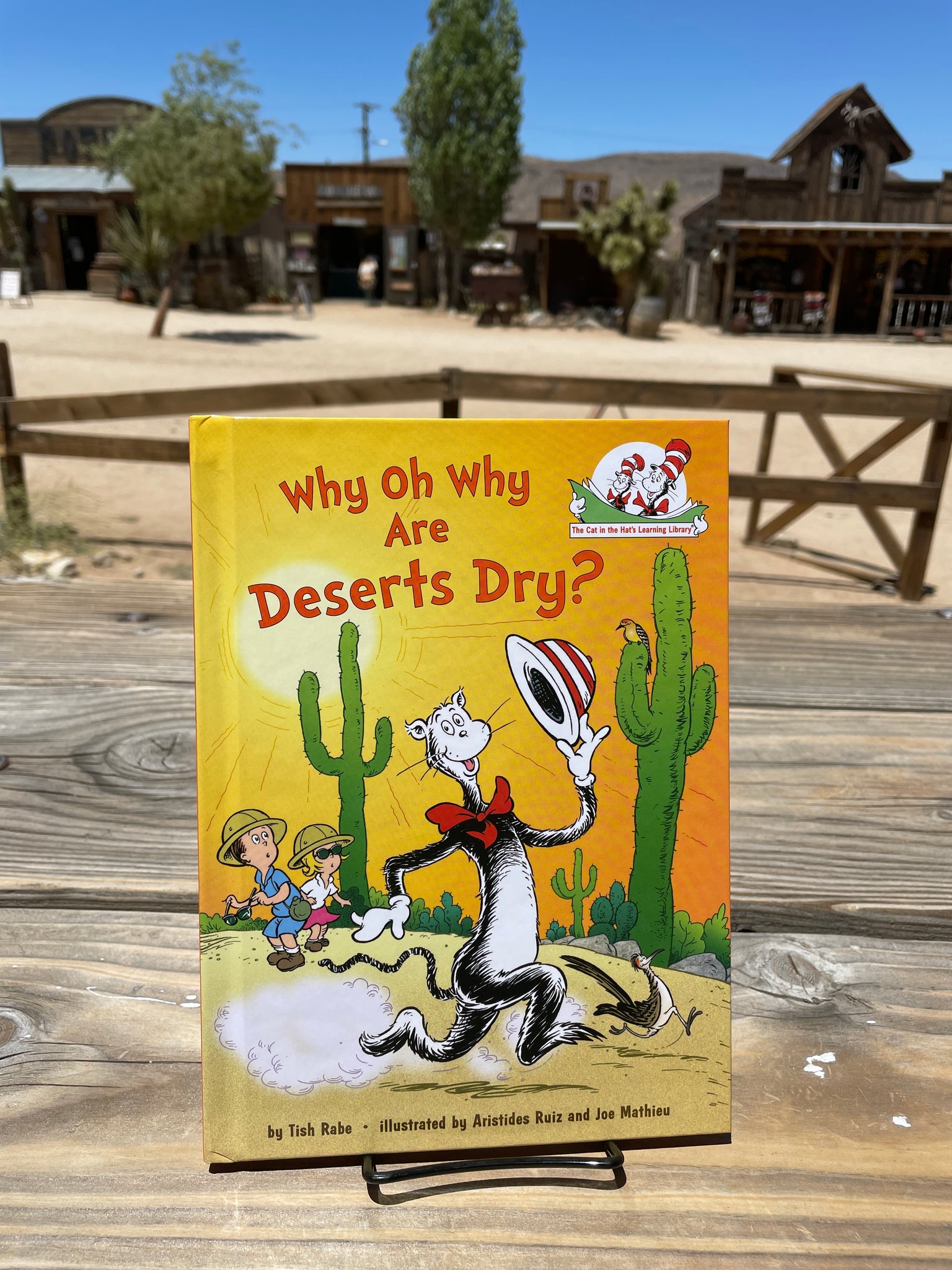 Why Oh Why are the Deserts Dry? Childrens book